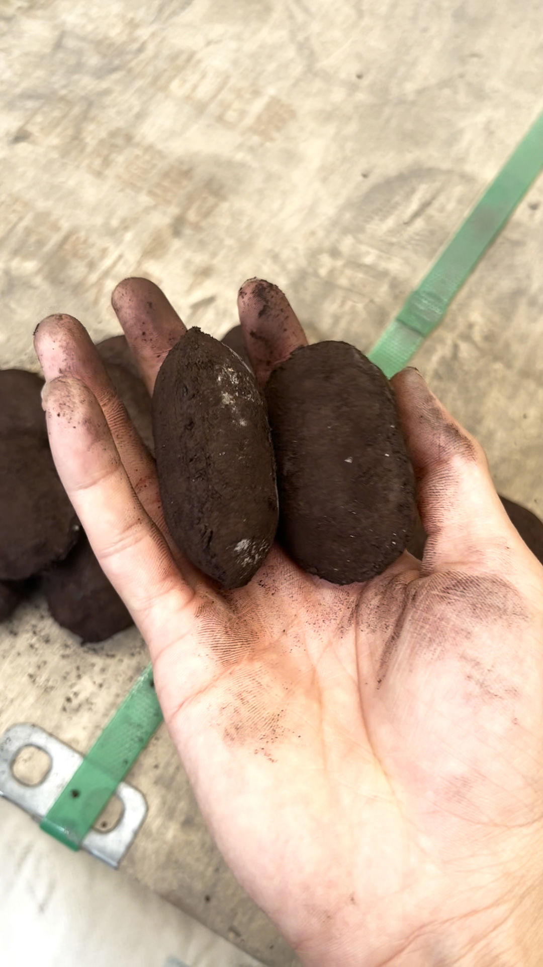 球團(tuán)在烘干的時候總是崩解，粉化